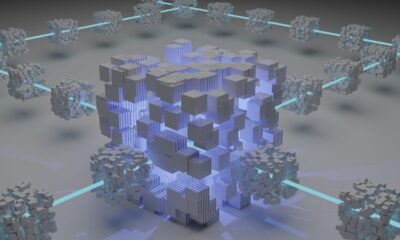 Understanding Initial Coin Offerings